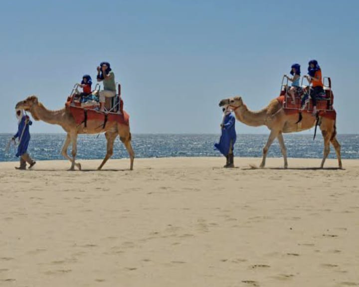 PASEO CON CAMELLOS — imagen 2