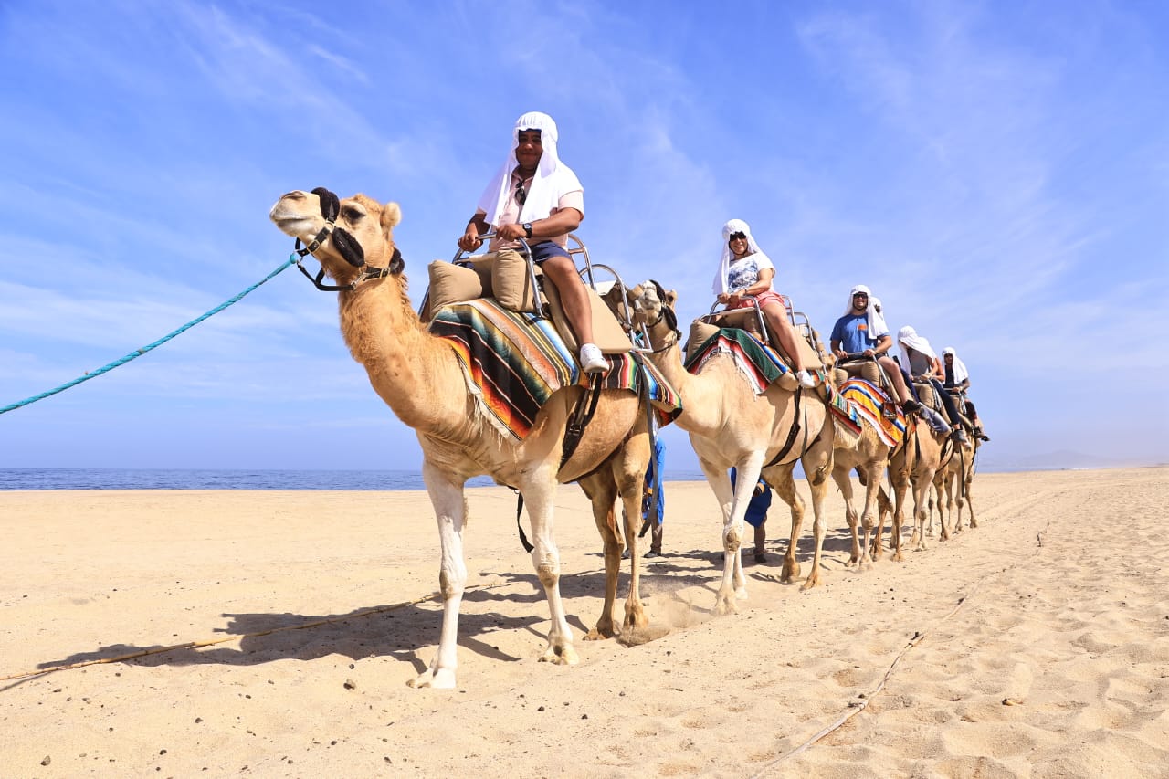 PASEO CON CAMELLOS — imagen 4