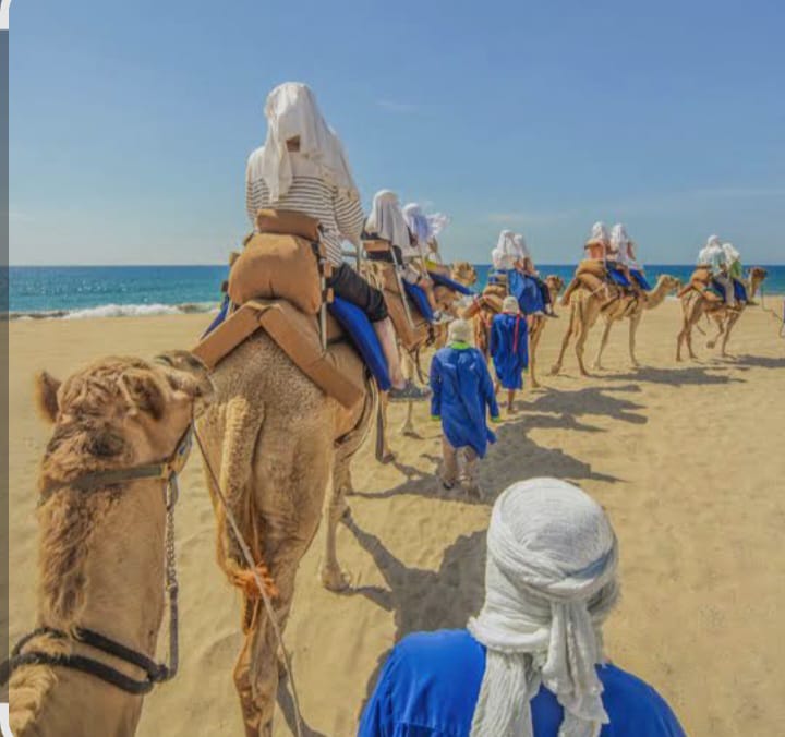 PASEO CON CAMELLOS — imagen 3