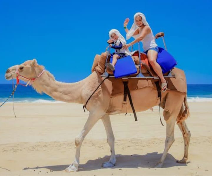 PASEO CON CAMELLOS — imagen 5