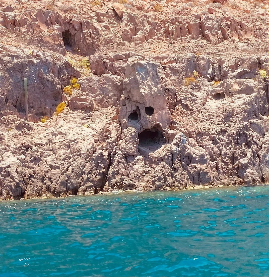 Tour zur Insel Espíritu Santo — imagen 8