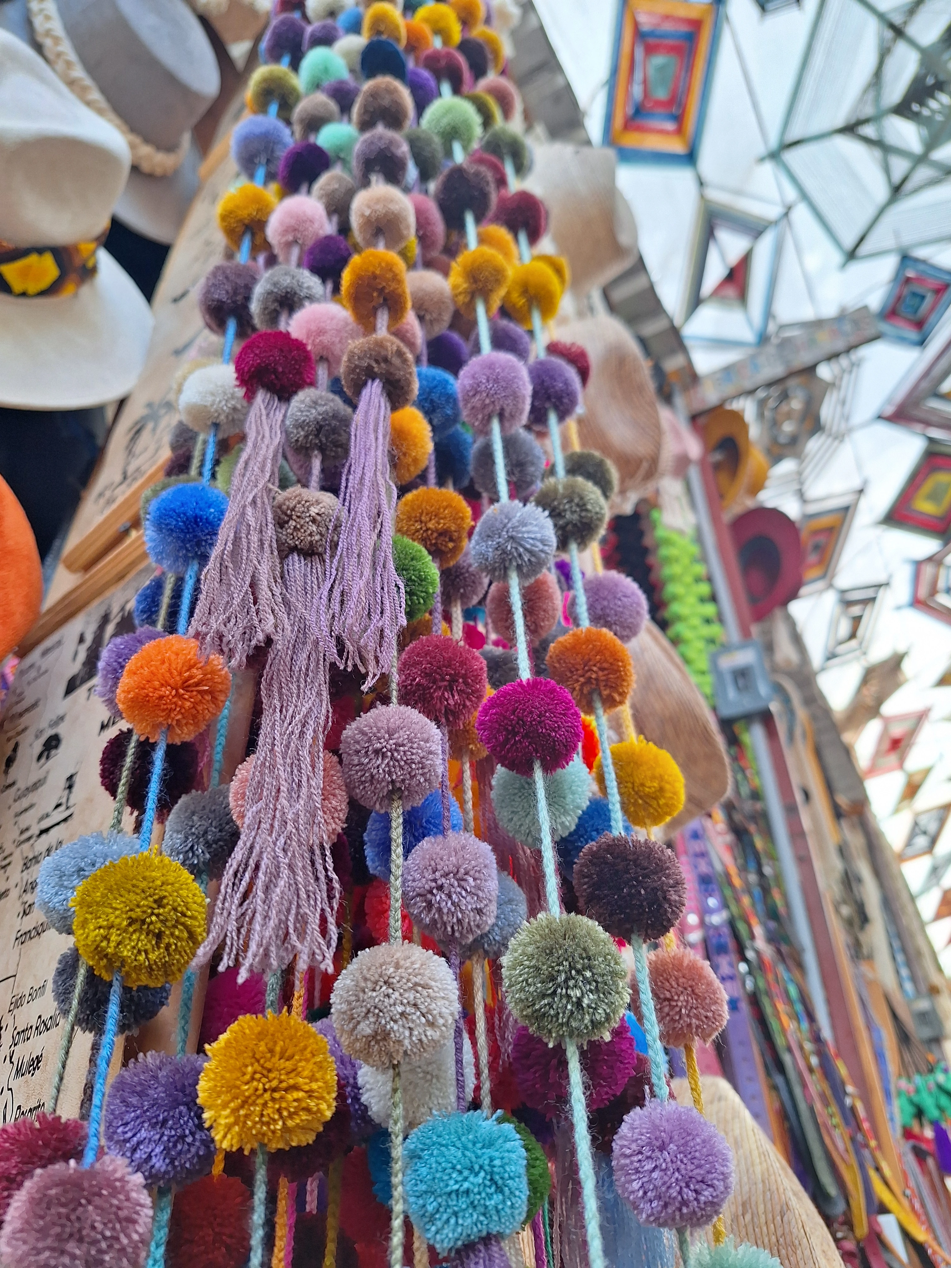 Todos Santos Magical Town Tour — imagen 2